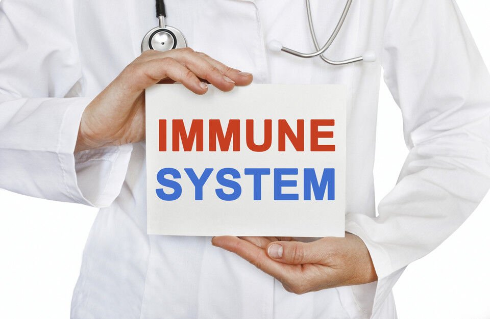 Immune System Support.5jpg Immune System Support.5jpg